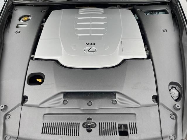 18129044_carP_l_18.jpg