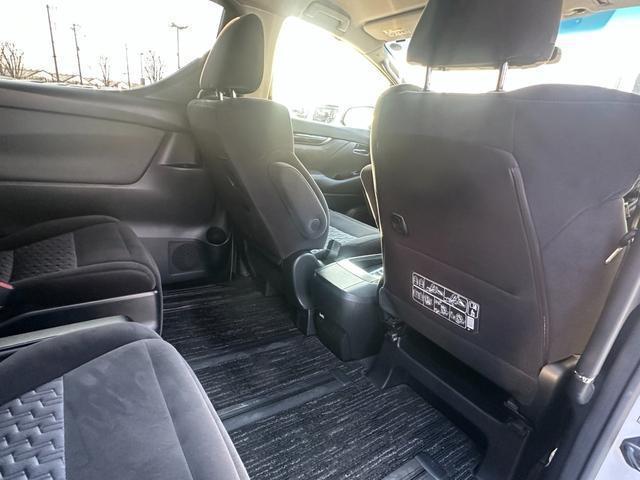 22297401_carP_l_20.jpg