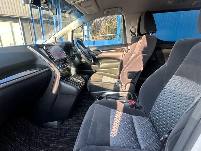 22297401_carP_l_5.jpg