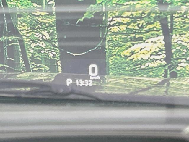 22819442_carP_l_13.jpg