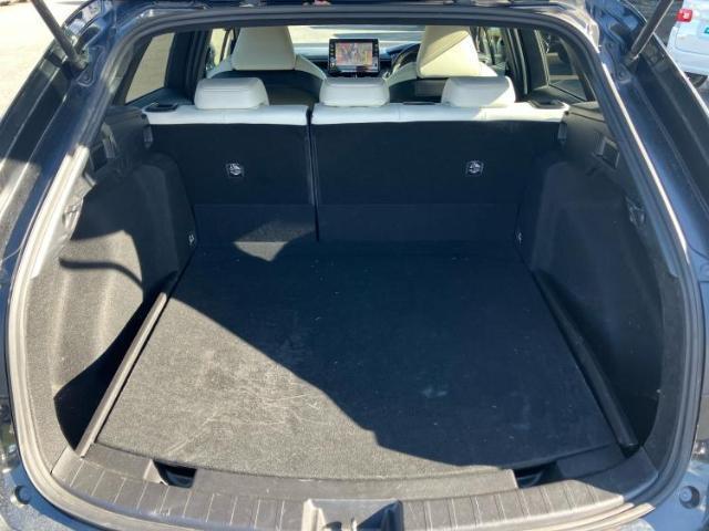 21028123_carP_l_17.jpg