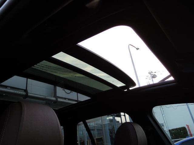 22601155_carP_l_5.jpg