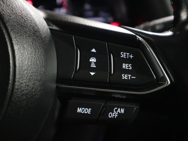 0500075A20241203K00919.jpg