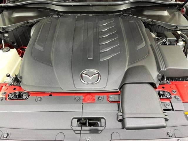 19337767_carP_l_18.jpg