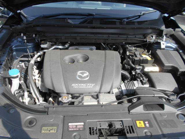 d45ffdab535ddd4502edb4eb6713d4b4.jpeg