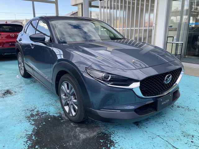 4a1fe316d85298a9d7bbdce5ac31fecd.jpg