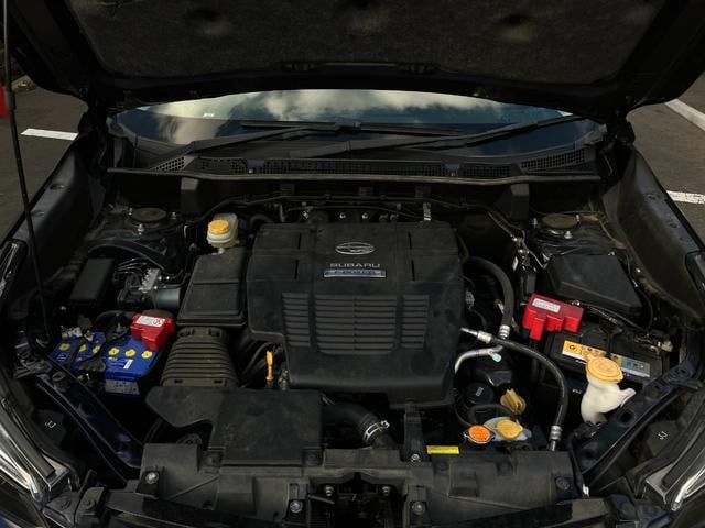0302944A30250919W00316.jpg