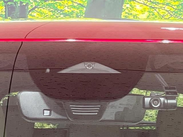 21709068_carP_l_10.jpg