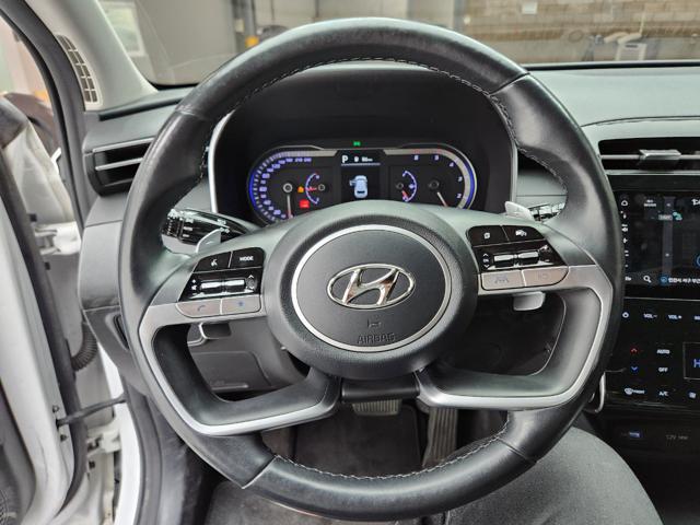 lotterental_143602977_1WItq_1.jpg