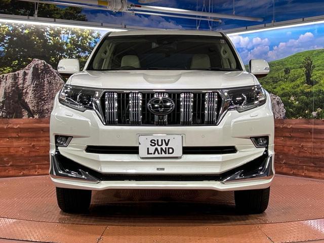 21854642_carP_l_9.jpg
