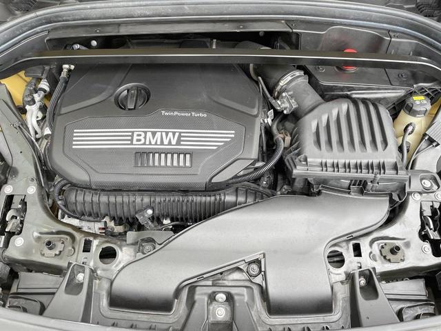 22095370_carP_l_16.jpg