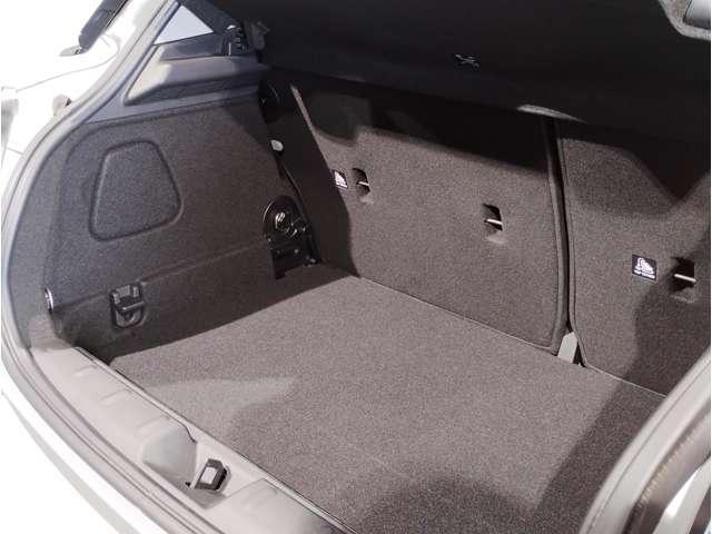 22734422_carP_l_4.jpg