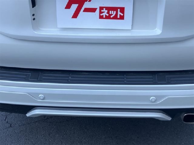 f9e97b7693da33a1708f90102bf48c9a.jpeg