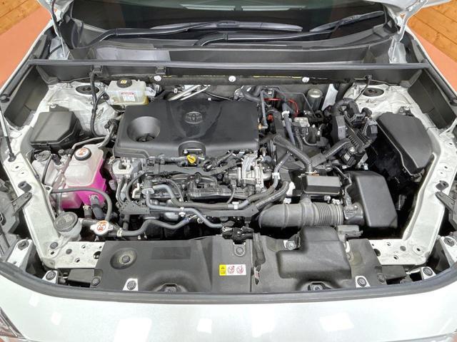 21361577_carP_l_18.jpg