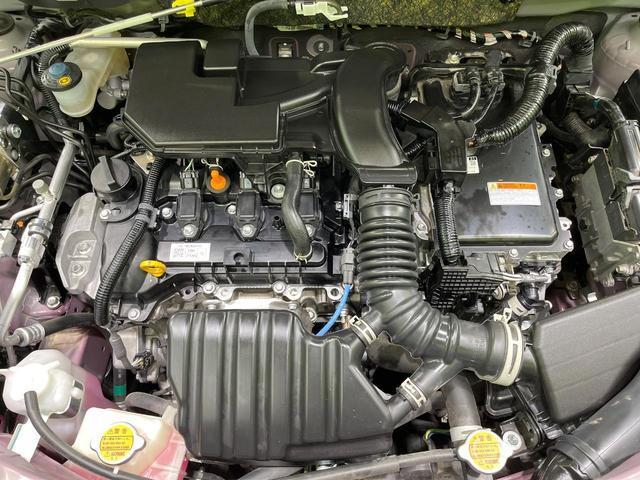 21854629_carP_l_16.jpg