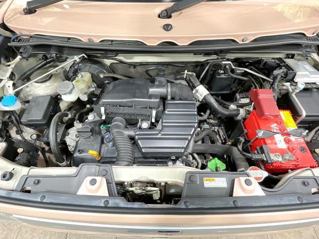 22133038_carP_l_16.jpg