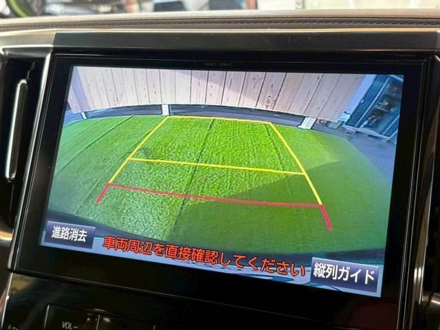 20019870_carP_l_4.jpg