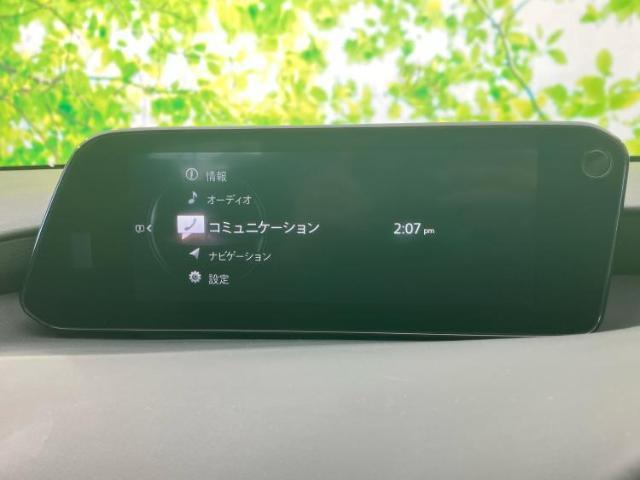20334714_carP_l_19.jpg