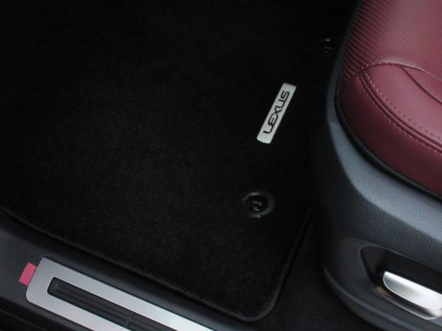 22151435_carP_l_8.jpg