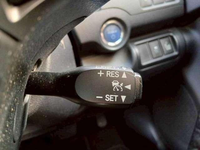 22585532_carP_l_11.jpg
