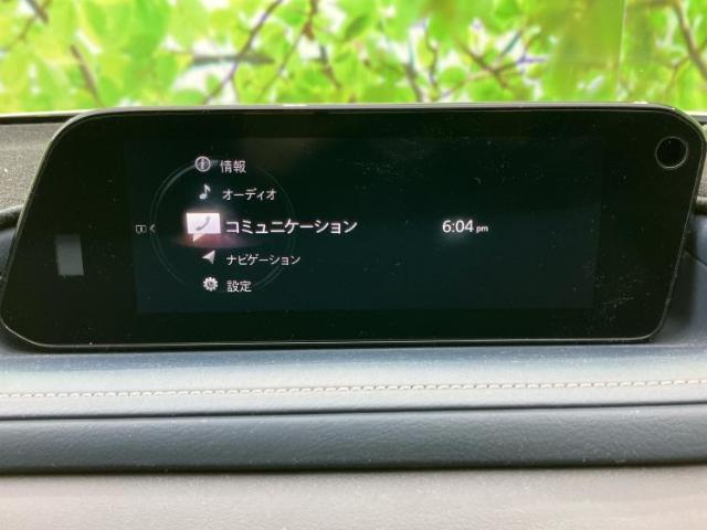 20292028_carP_l_19.jpg