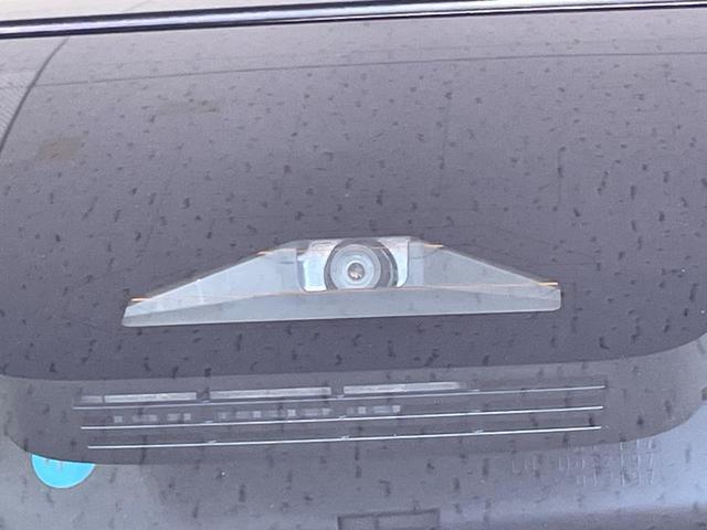 22151130_carP_l_13.jpg