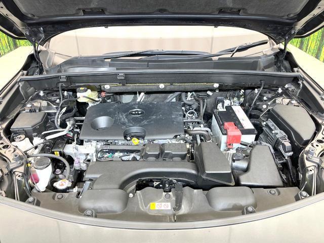 22132329_carP_l_16.jpg