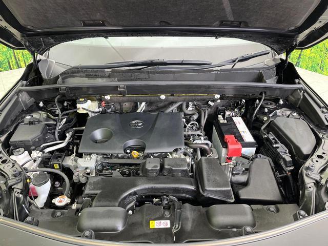 22582275_carP_l_16.jpg
