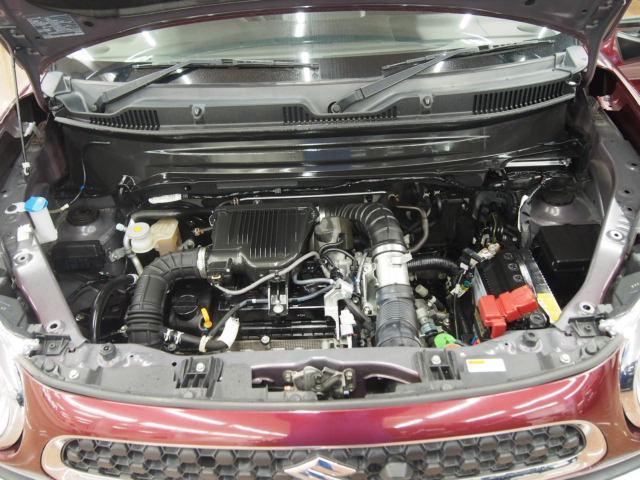 21951523_carP_l_17.jpg