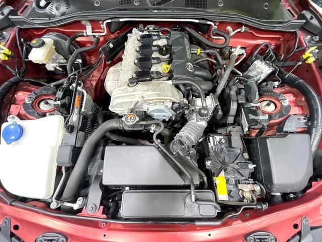 21149960_carP_l_16.jpg