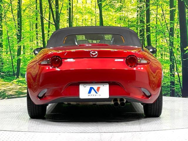 21149960_carP_l_9.jpg