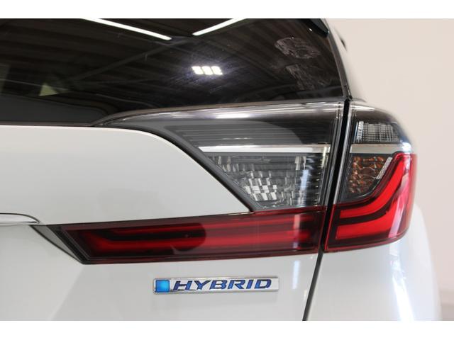 3000917A30260218W00618.jpg