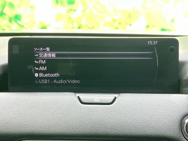 20539777_carP_l_5.jpg