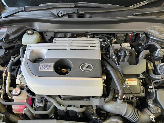 92f0d6ceaa399ddc69b126197ba841f6.jpg