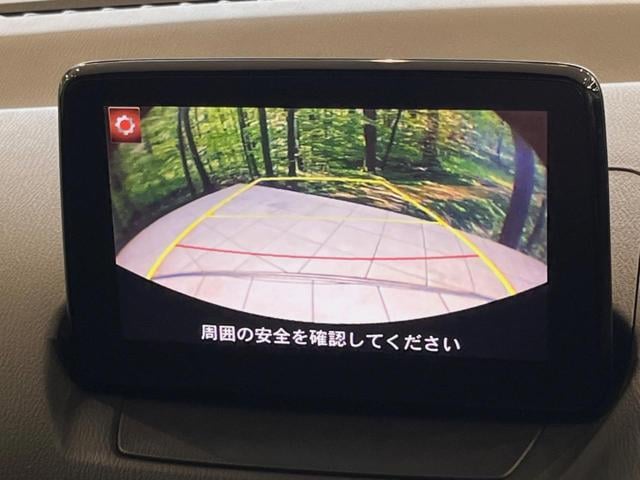 18550611_carP_l_4.jpg