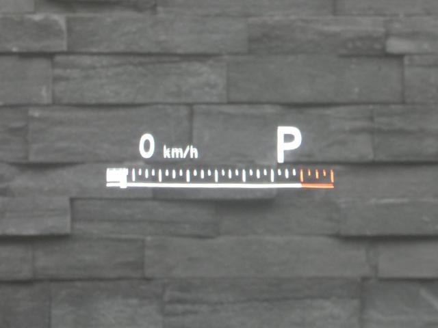 21964935_carP_l_12.jpg