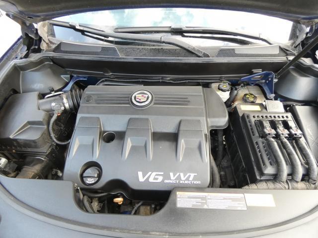 21549135_carP_l_16.jpg