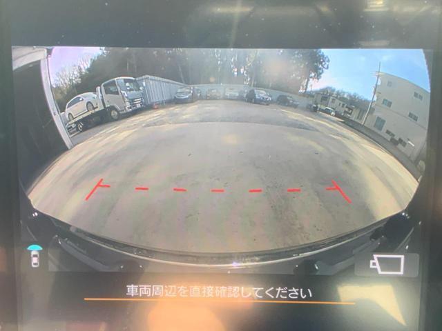21873469_carP_l_18.jpg