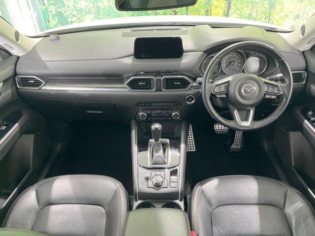 22699053_carP_l_3.jpg