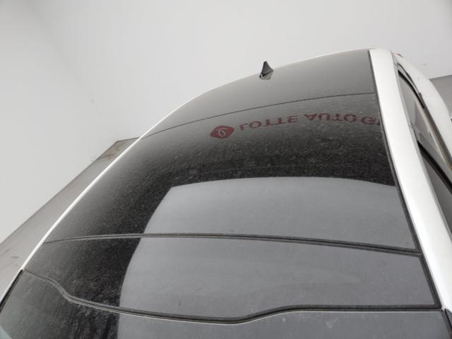 lotterental_171252381_x0HZG_2.jpg
