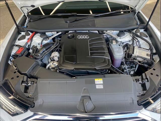 19735073_carP_l_6.jpg