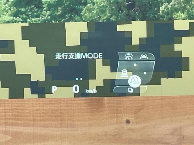 19291700_carP_l_10.jpg