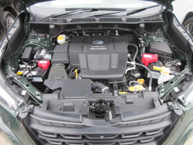 0561088A30260117W00914.jpg