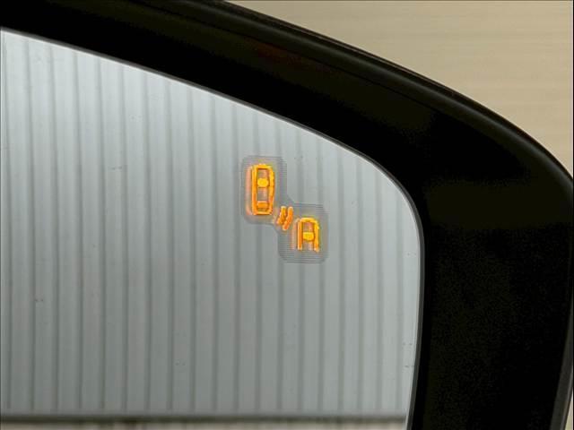 23220636_carP_l_13.jpg