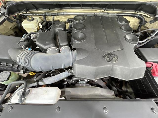 23094497_carP_l_16.jpg