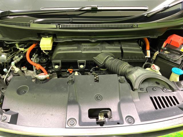 21306721_carP_l_18.jpg