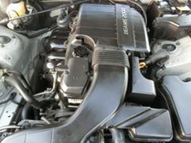 17948625_carP_l_16.jpg