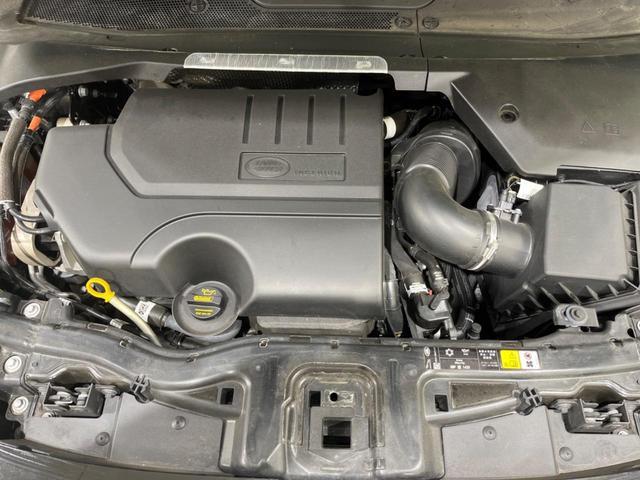 23207477_carP_l_6.jpg