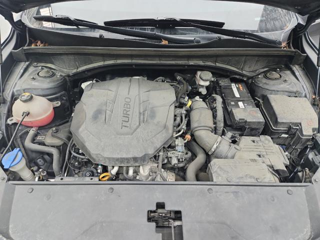 lotterental_144911272_MPdtS_5.jpg