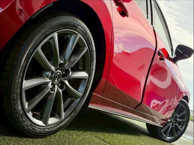 20463745_carP_l_18.jpg